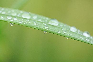 《沙漠大冒险》九分钟概述预告 4月26日正式发售